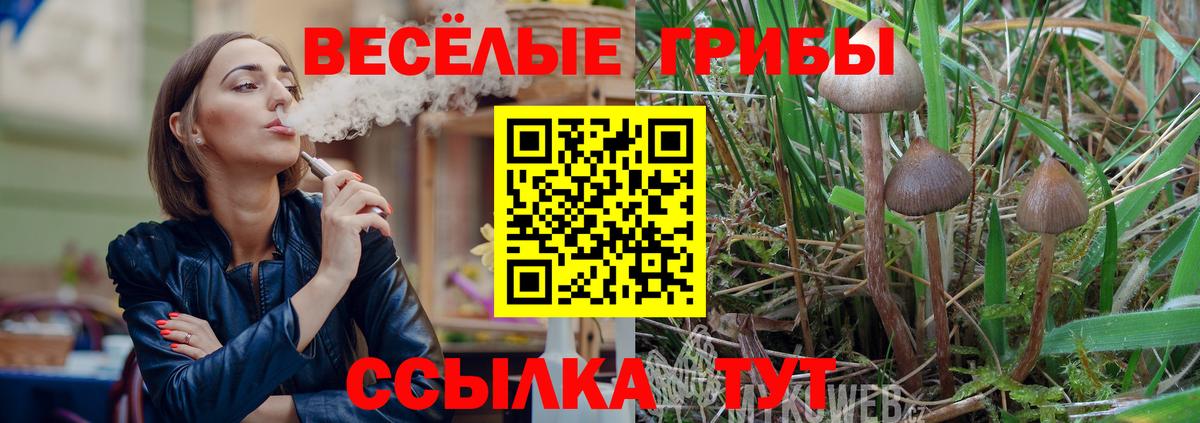 Галлюциногенные грибы ЛСД Асбест